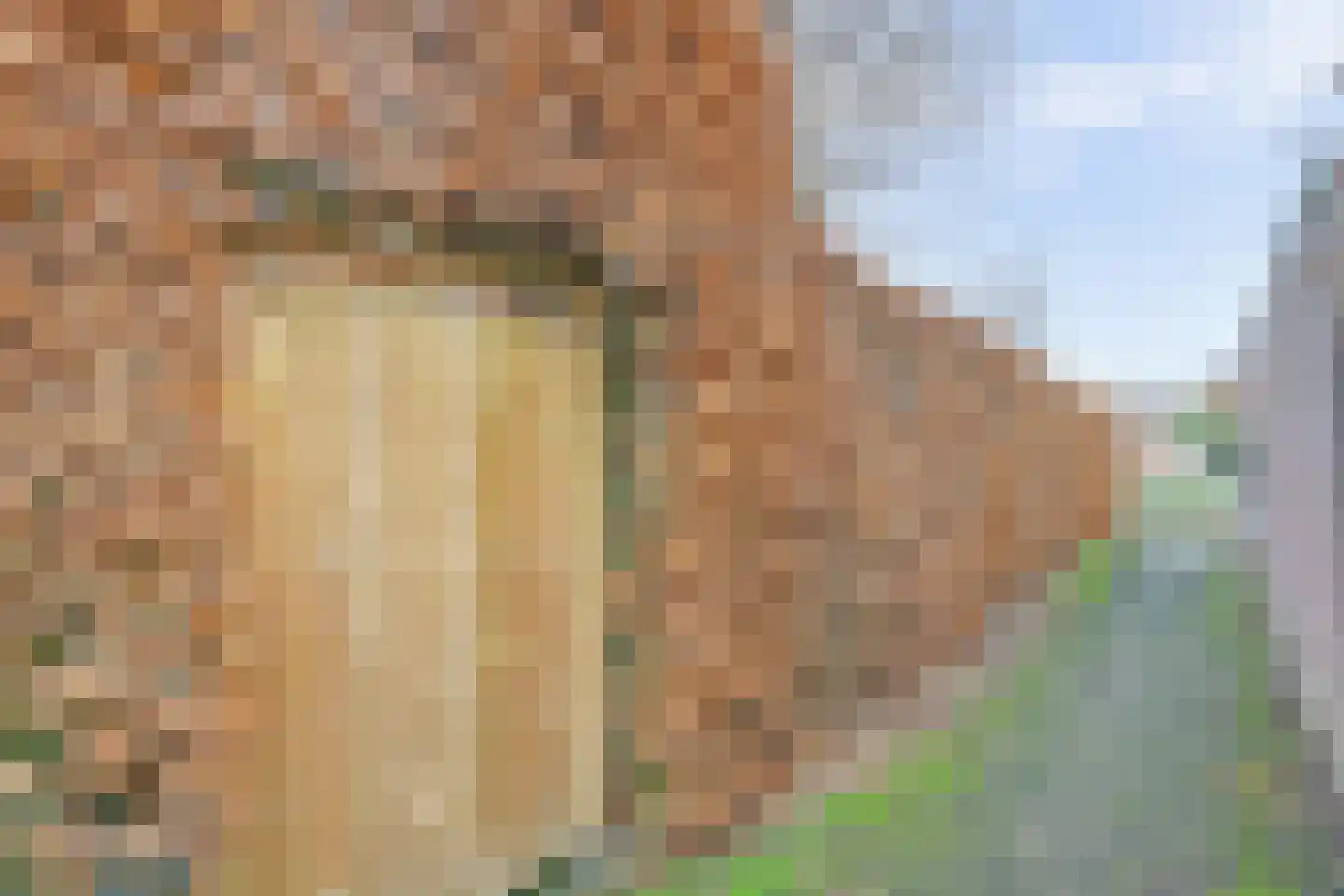 de Bossen 16 Raamsdonksveer thumbnail 47