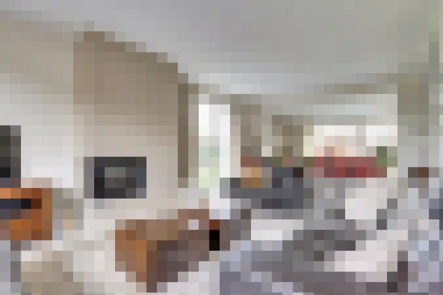 de Bossen 16 Raamsdonksveer thumbnail 6