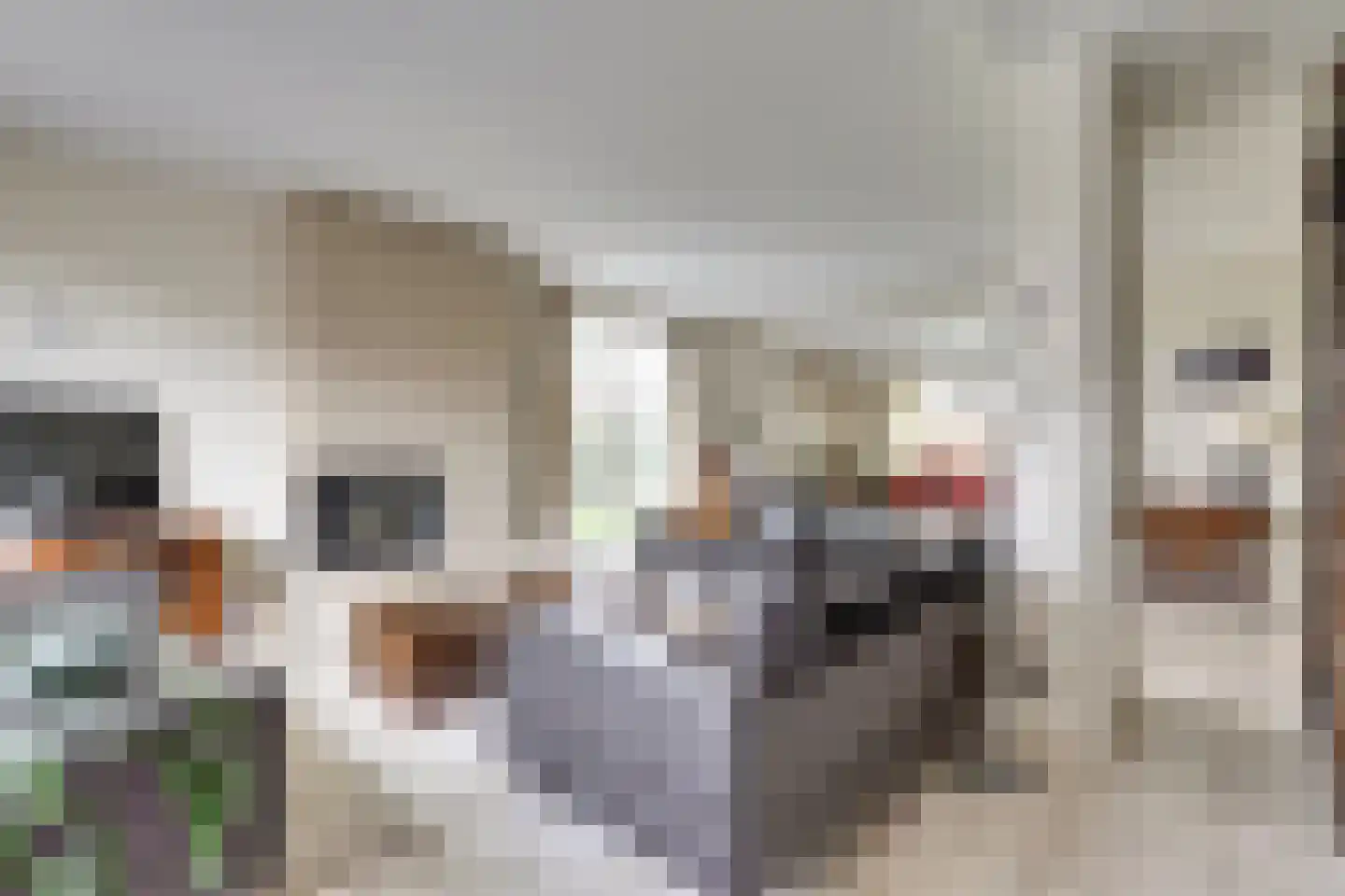 de Bossen 16 Raamsdonksveer thumbnail 7