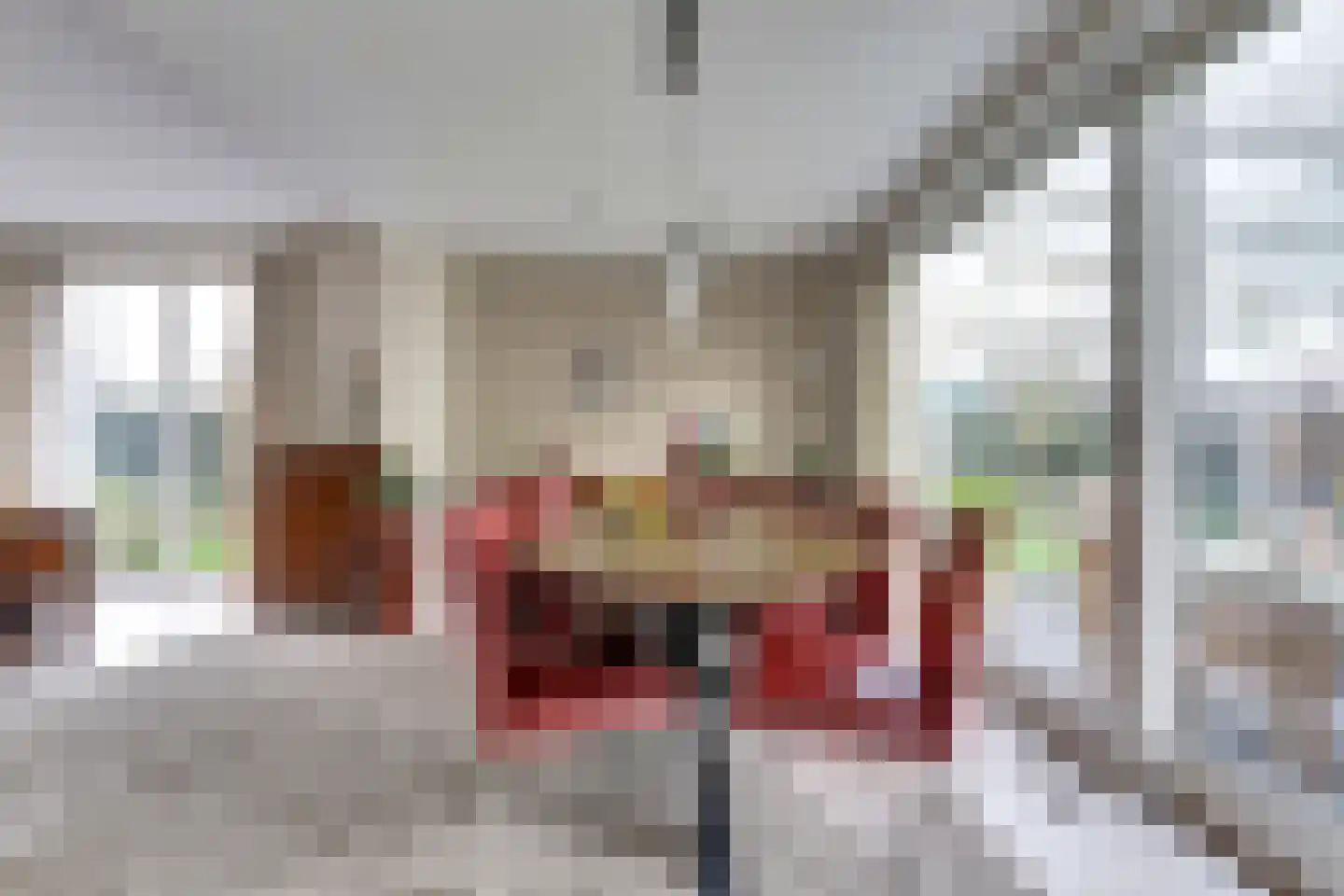 de Bossen 16 Raamsdonksveer thumbnail 9