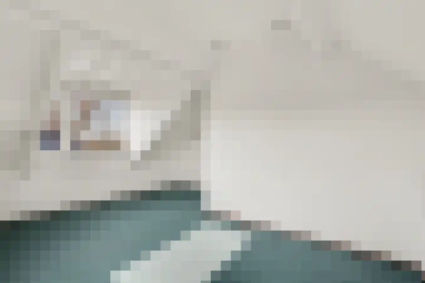 de Bossen 18 Raamsdonksveer thumbnail 8