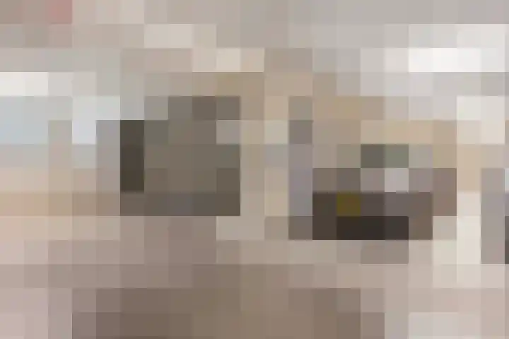De Bosuil 104 Amersfoort thumbnail 35