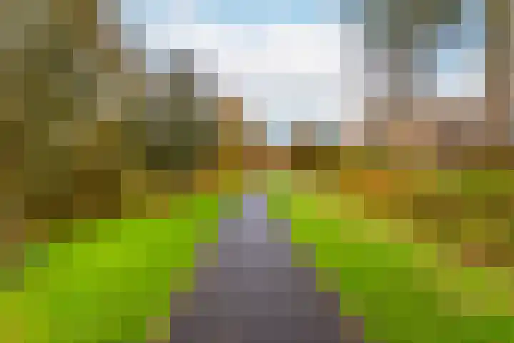 De Bosuil 104 Amersfoort thumbnail 37