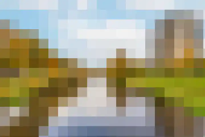 De Bosuil 104 Amersfoort thumbnail 38