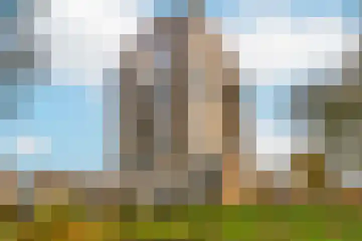 De Bosuil 104 Amersfoort thumbnail 5