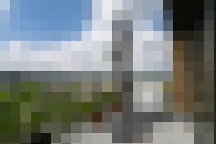 De Bosuil 136 Amersfoort thumbnail 20