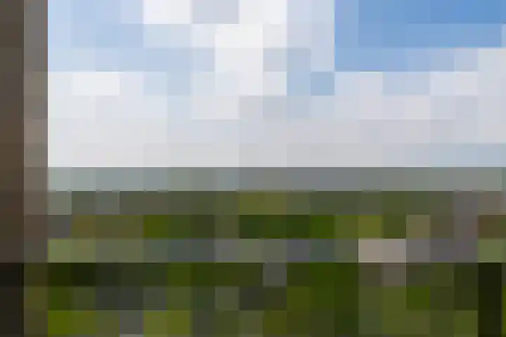 De Bosuil 136 Amersfoort thumbnail 22