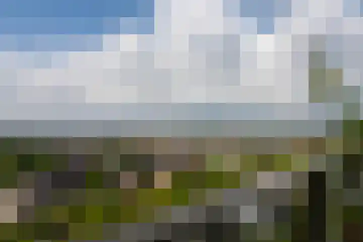 De Bosuil 136 Amersfoort thumbnail 25