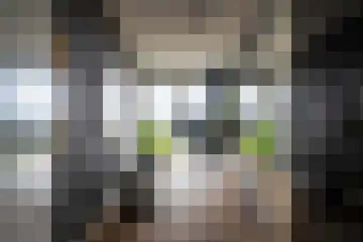 De Bosuil 136 Amersfoort thumbnail 37