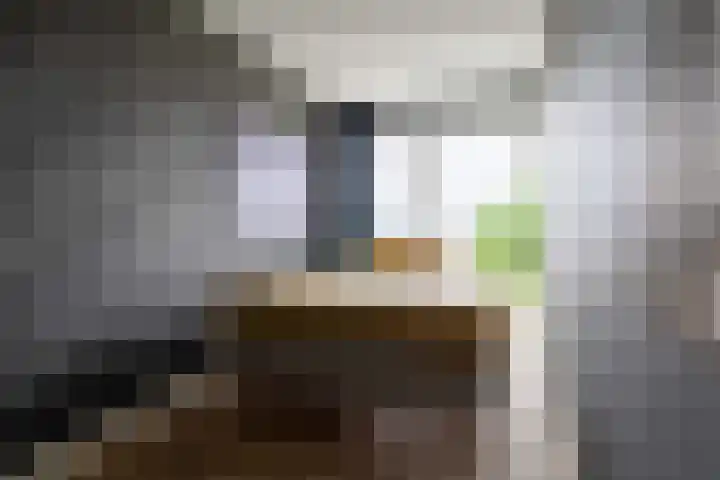 De Bosuil 136 Amersfoort thumbnail 41