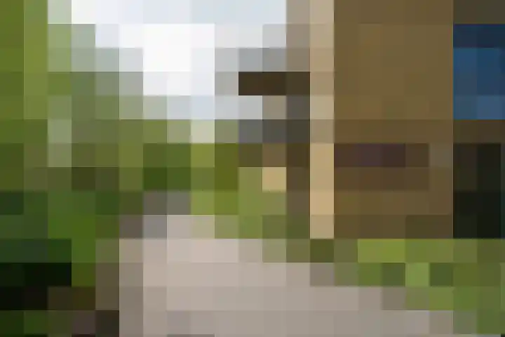 De Bosuil 136 Amersfoort thumbnail 45
