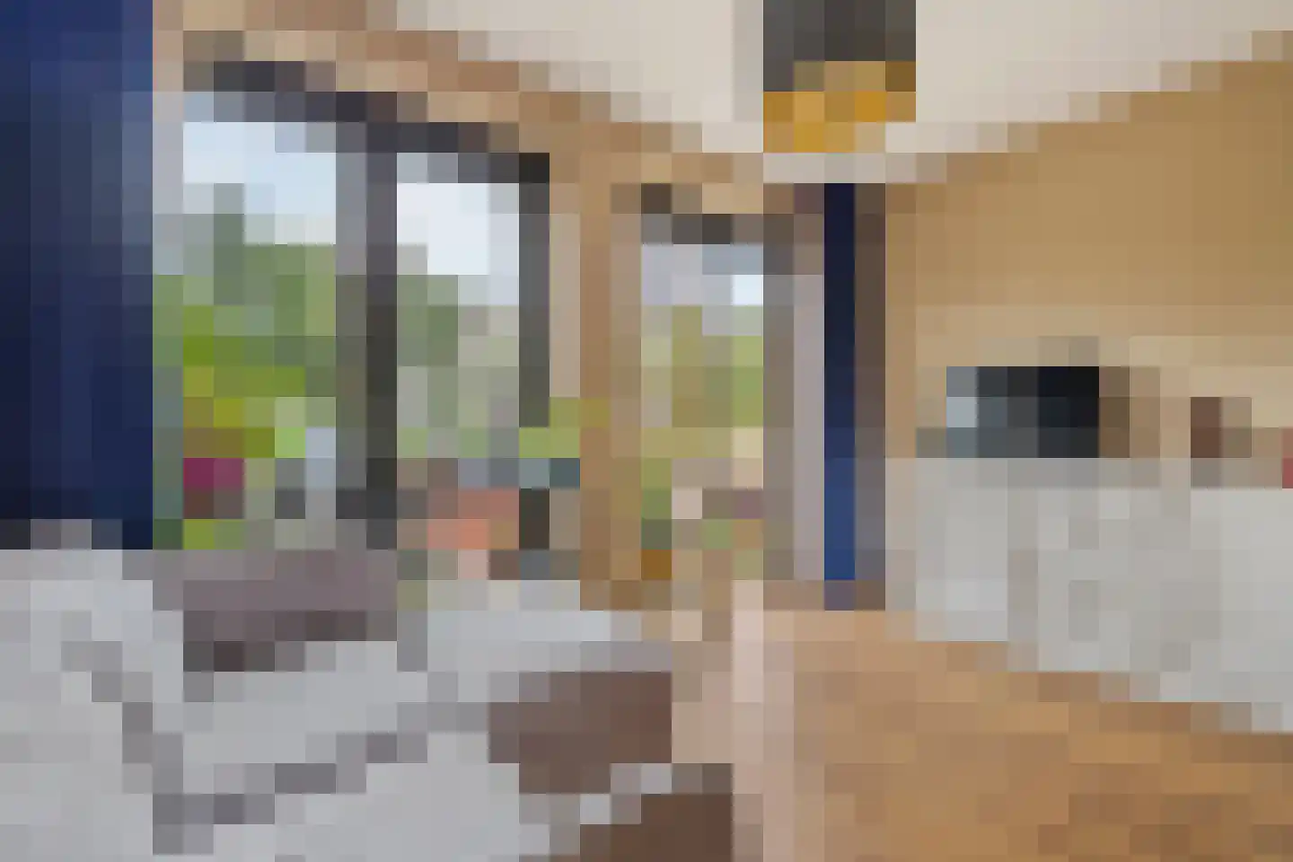 De Bosuil 19 Amersfoort thumbnail 8