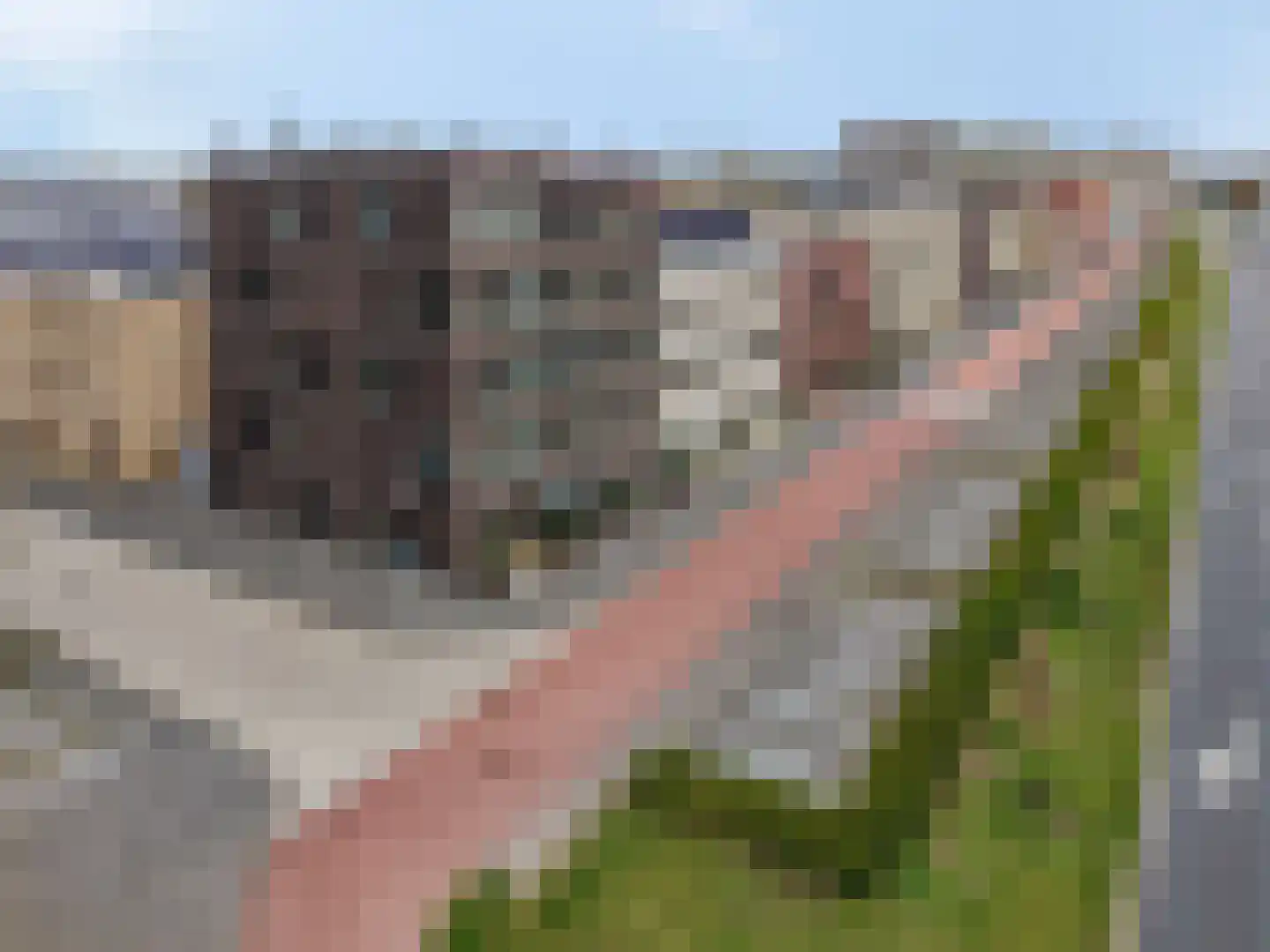 De Bosuil 37 Amersfoort thumbnail 10