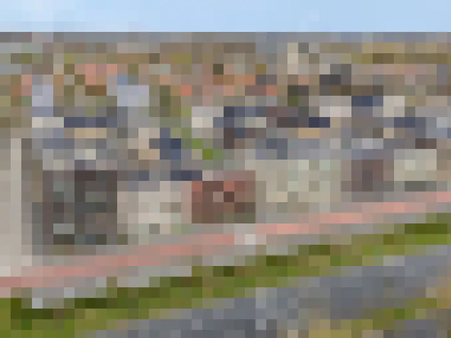 De Bosuil 37 Amersfoort thumbnail 27