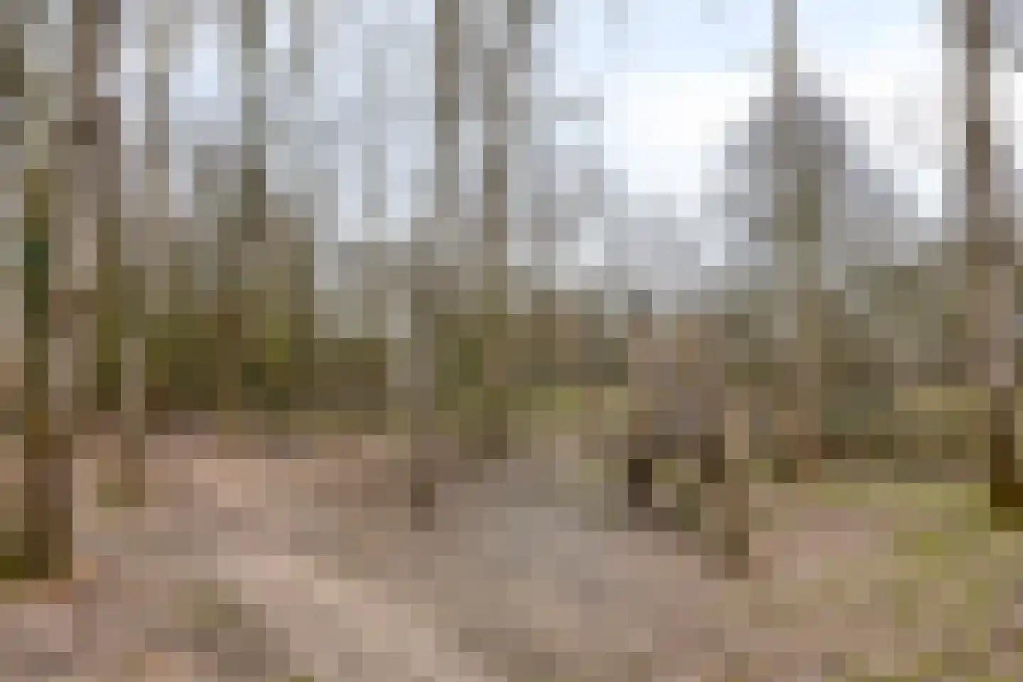 De Bosuil 39 Amersfoort thumbnail 27