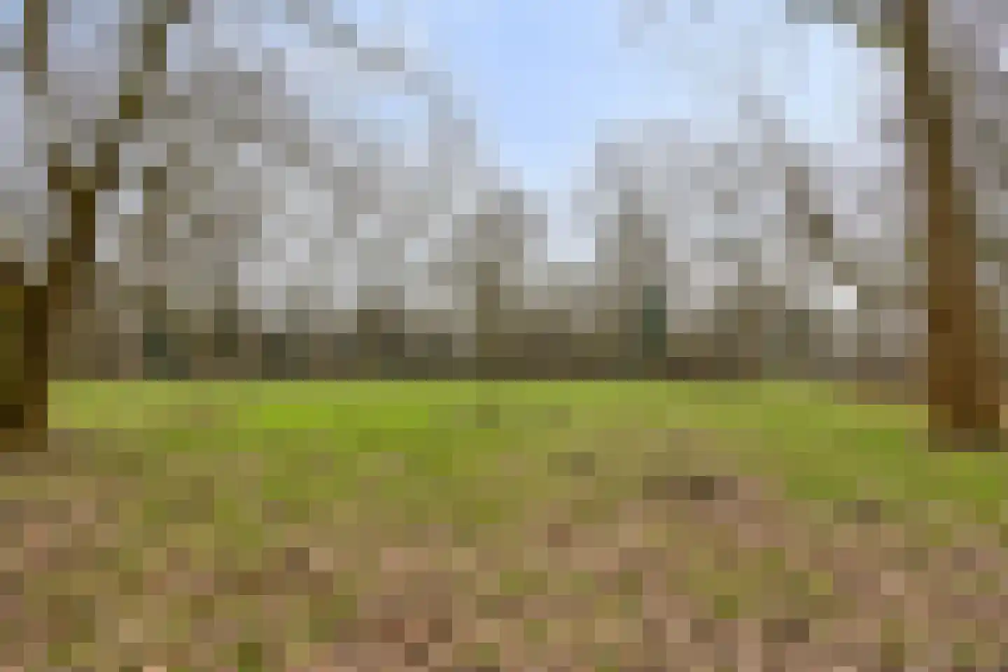 De Bosuil 39 Amersfoort thumbnail 28