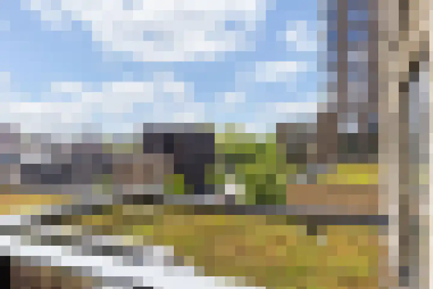 De Bosuil 46 Amersfoort thumbnail 14