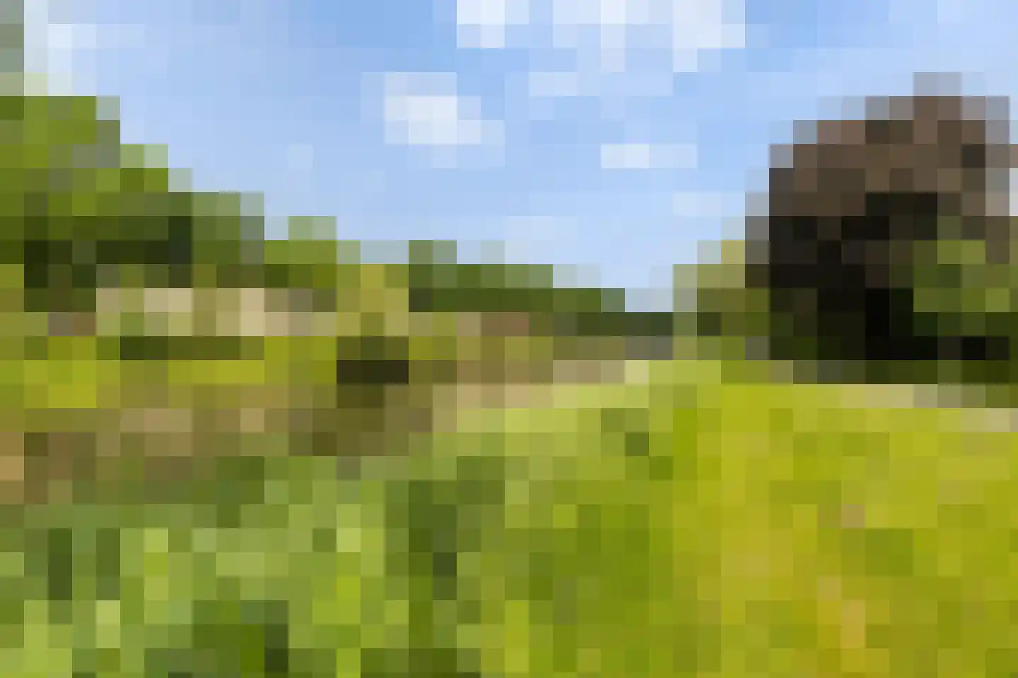 De Bosuil 46 Amersfoort thumbnail 31