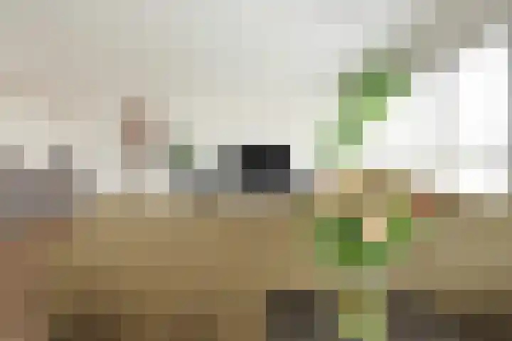 De Bosuil 48 Amersfoort thumbnail 19