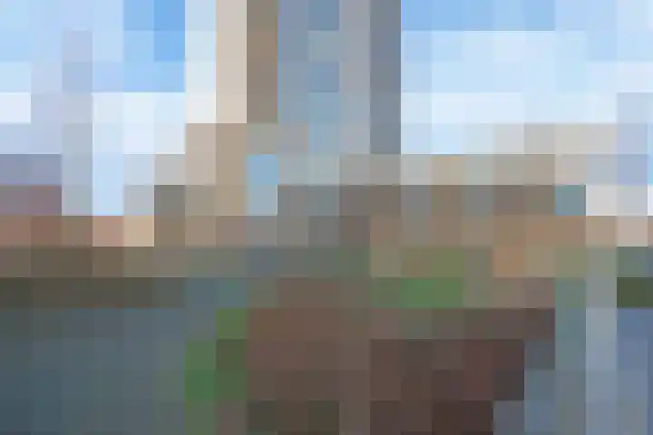 De Bosuil 48 Amersfoort thumbnail 8