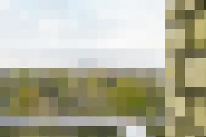 De Bosuil 64 Amersfoort thumbnail 21