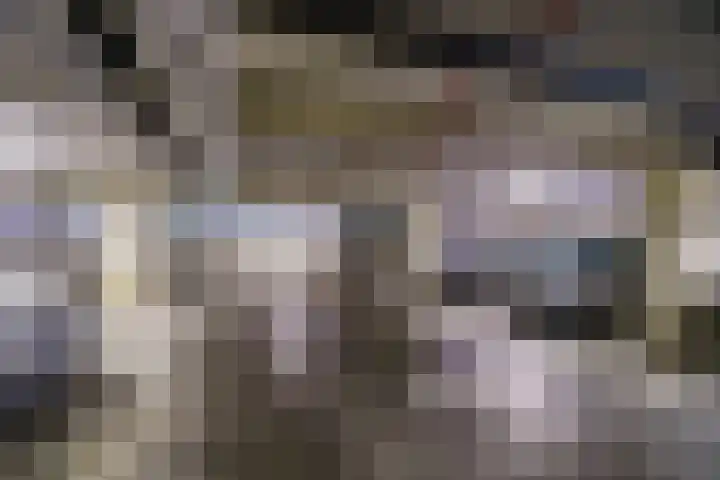 De Bosuil 64 Amersfoort thumbnail 36