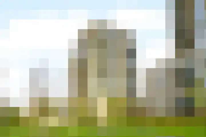 De Bosuil 64 Amersfoort thumbnail 41