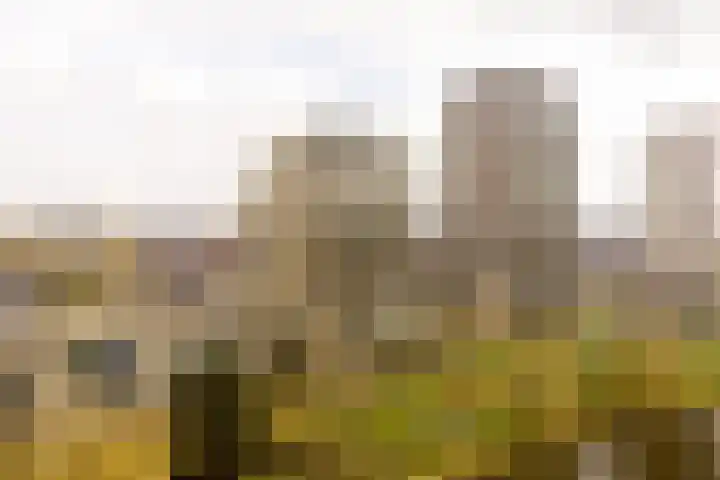 De Bosuil 64 Amersfoort thumbnail 53