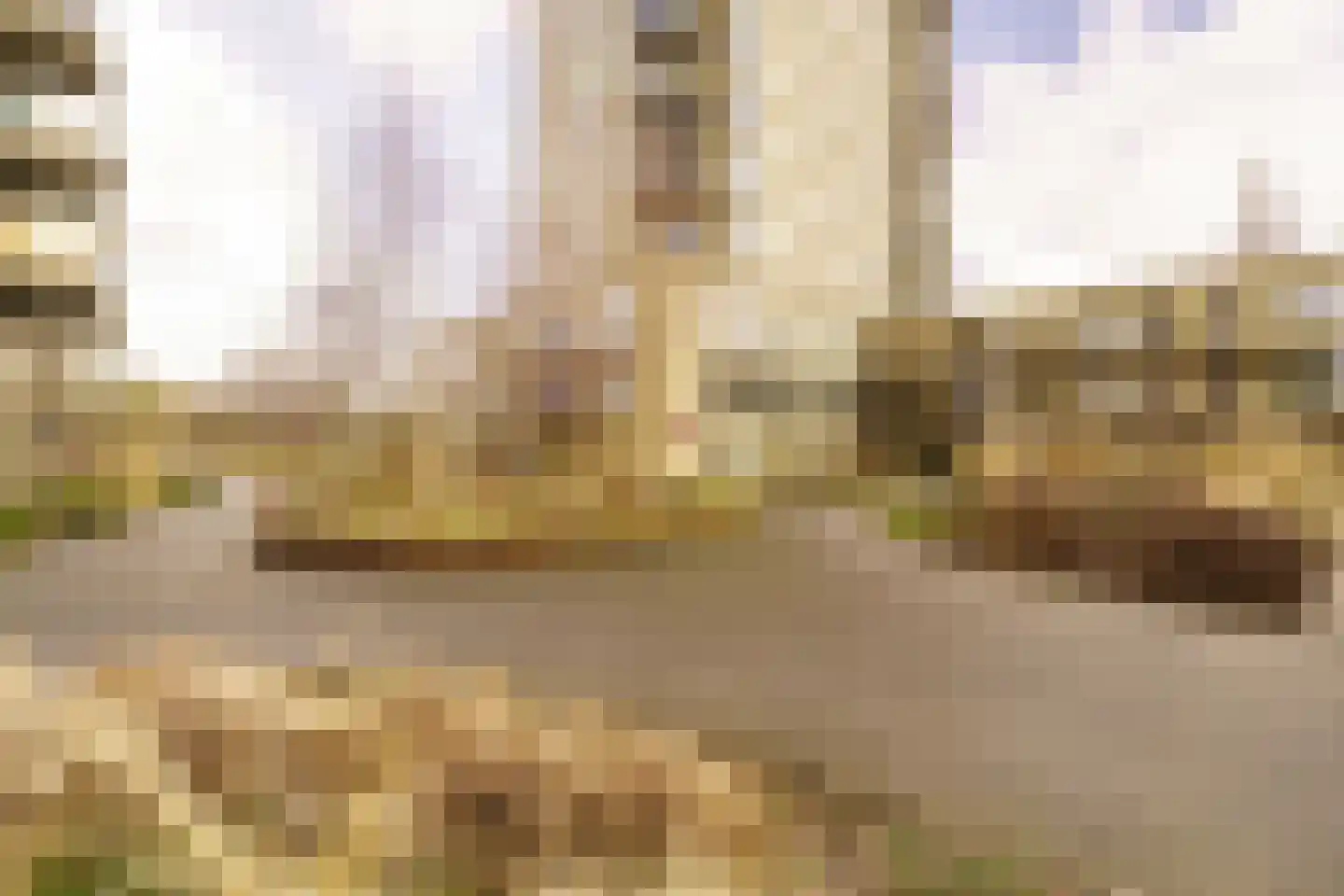 De Bosuil 80 Amersfoort thumbnail 31