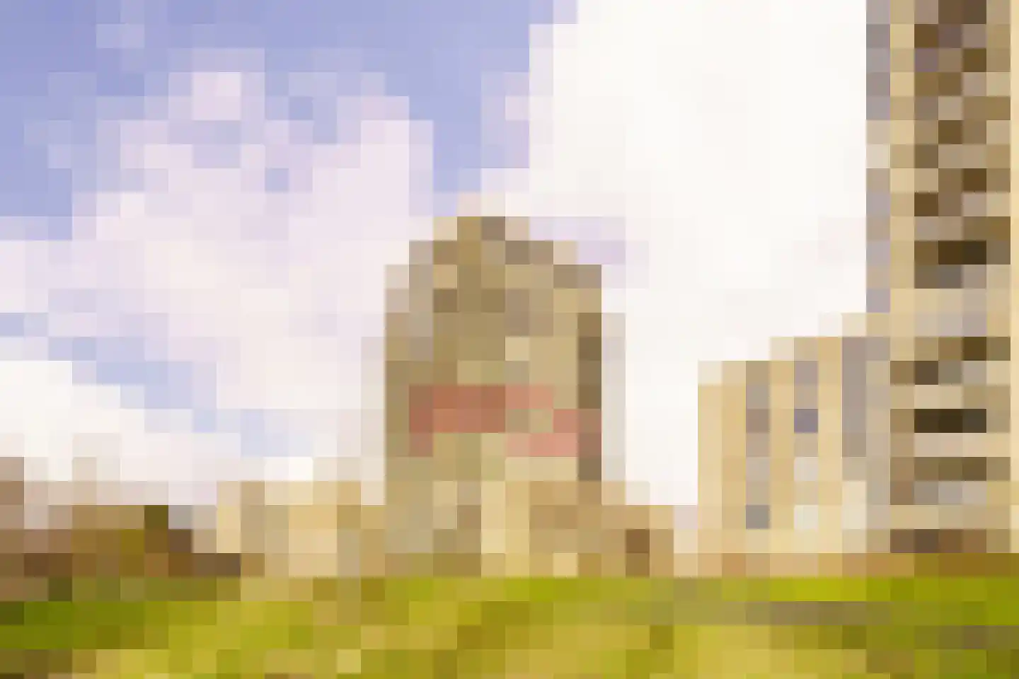 De Bosuil 80 Amersfoort thumbnail 32