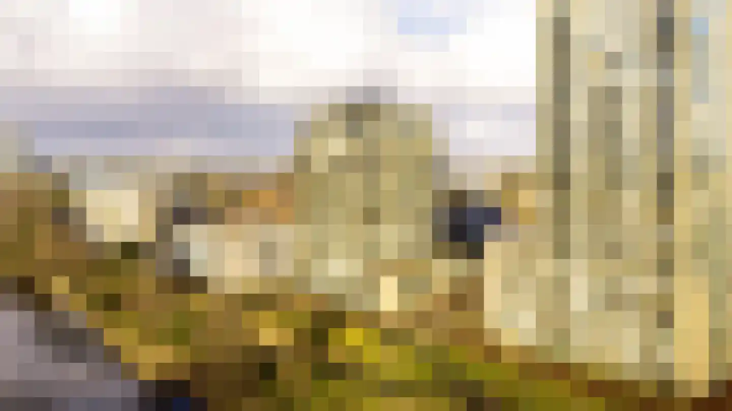 De Bosuil 80 Amersfoort thumbnail 33