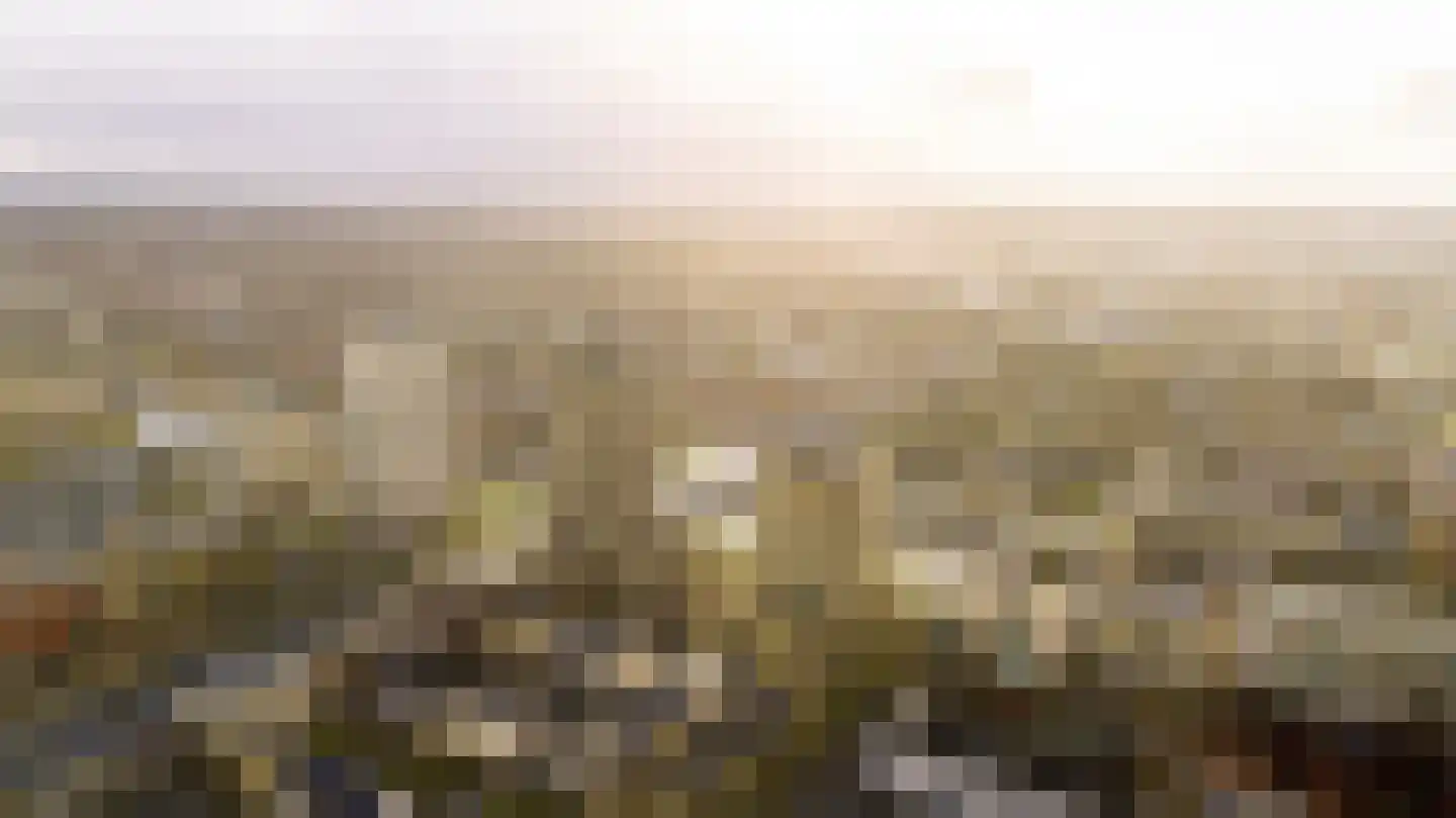 De Bosuil 80 Amersfoort thumbnail 35