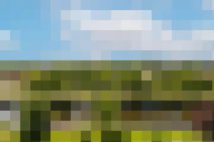 De Bosuil 82 Amersfoort thumbnail 14