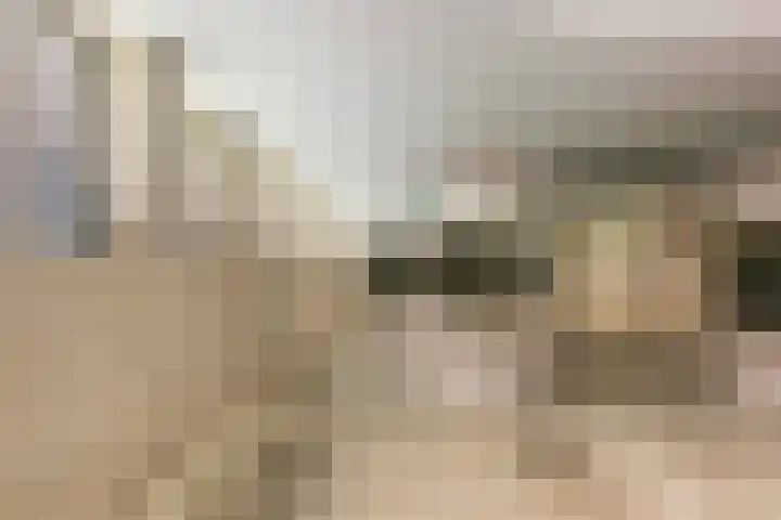 De Bosuil 82 Amersfoort thumbnail 25