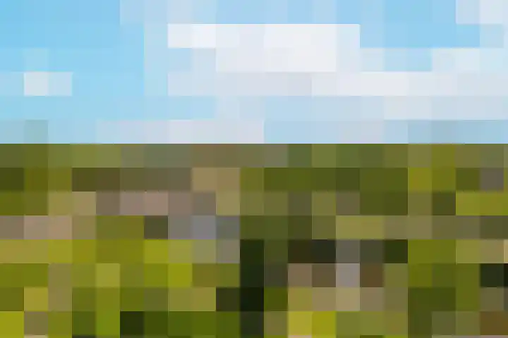 De Bosuil 82 Amersfoort thumbnail 30