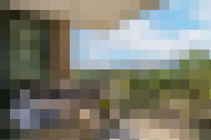 De Bosuil 82 Amersfoort thumbnail 4