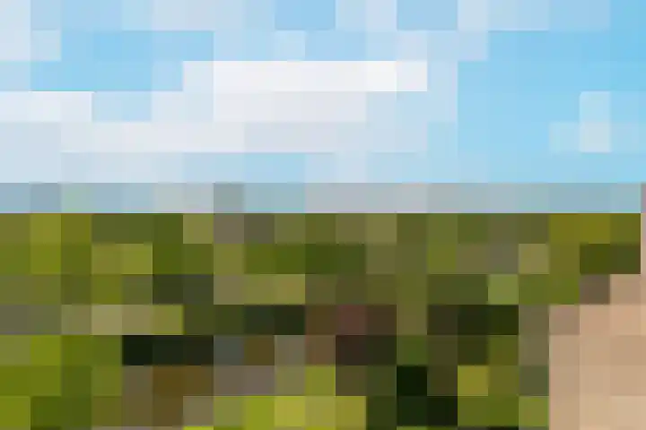De Bosuil 82 Amersfoort thumbnail 5