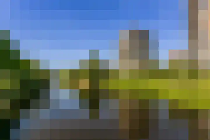 De Bosuil 82 Amersfoort thumbnail 6