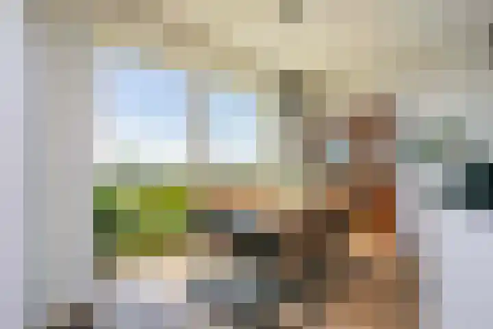De Bosuil 82 Amersfoort thumbnail 9