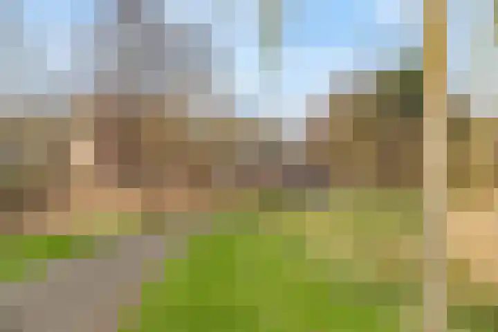 De Bosuil 88 Amersfoort thumbnail 28