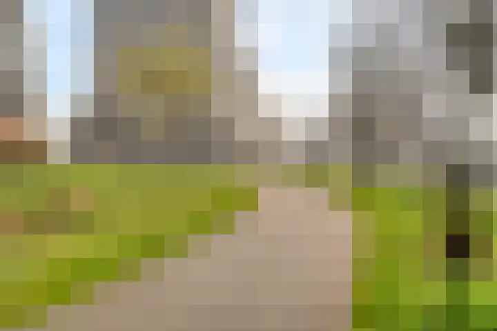 De Bosuil 88 Amersfoort thumbnail 29