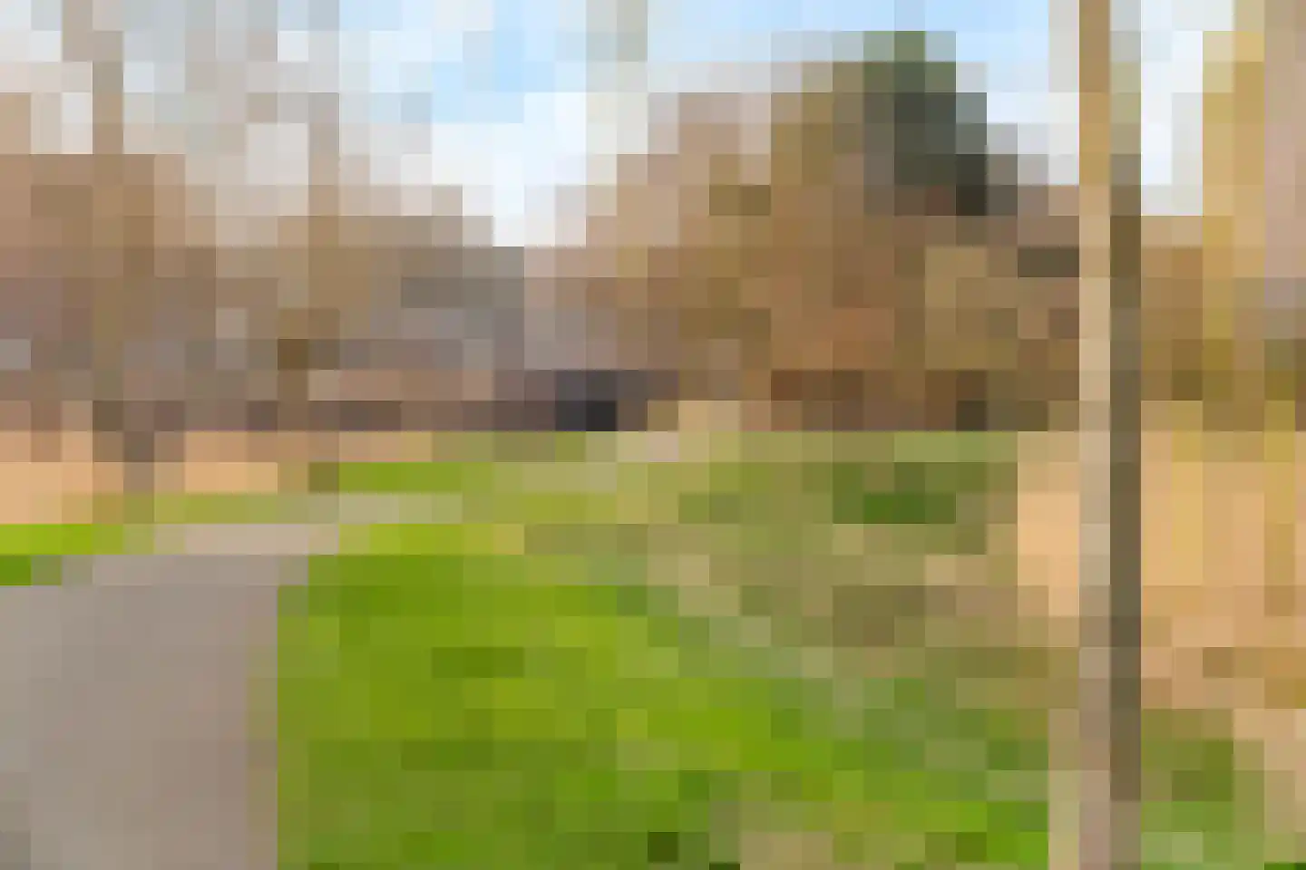 De Bosuil 88 Amersfoort thumbnail 30