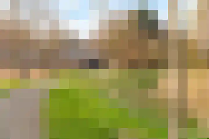 De Bosuil 88 Amersfoort thumbnail 30