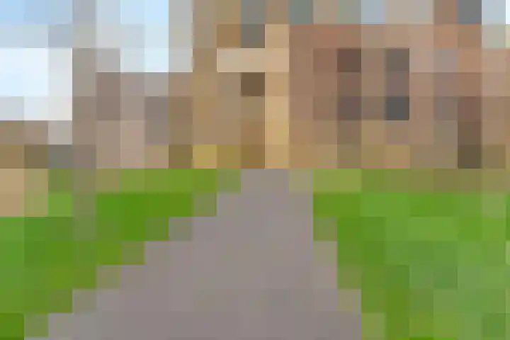 De Bosuil 88 Amersfoort thumbnail 31