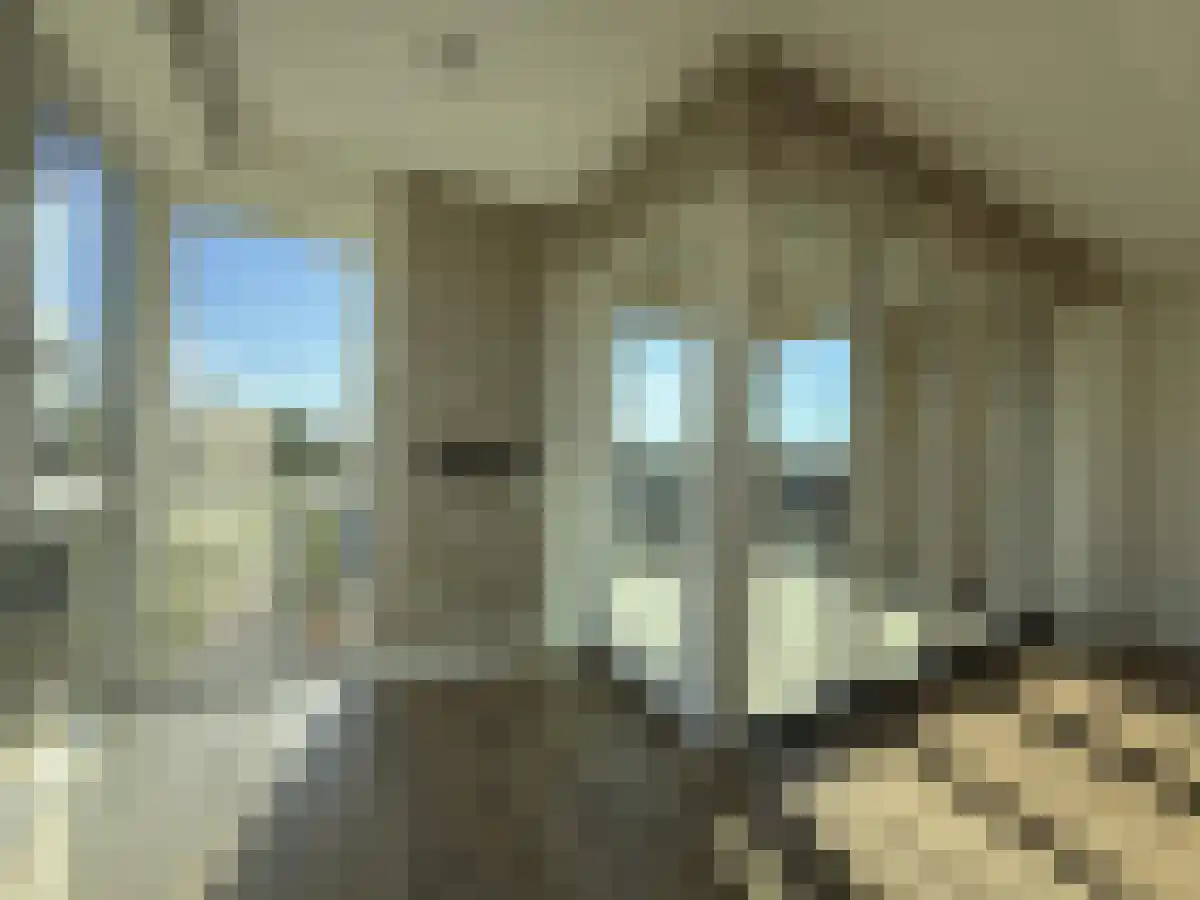 De Bosuil Amersfoort thumbnail 5