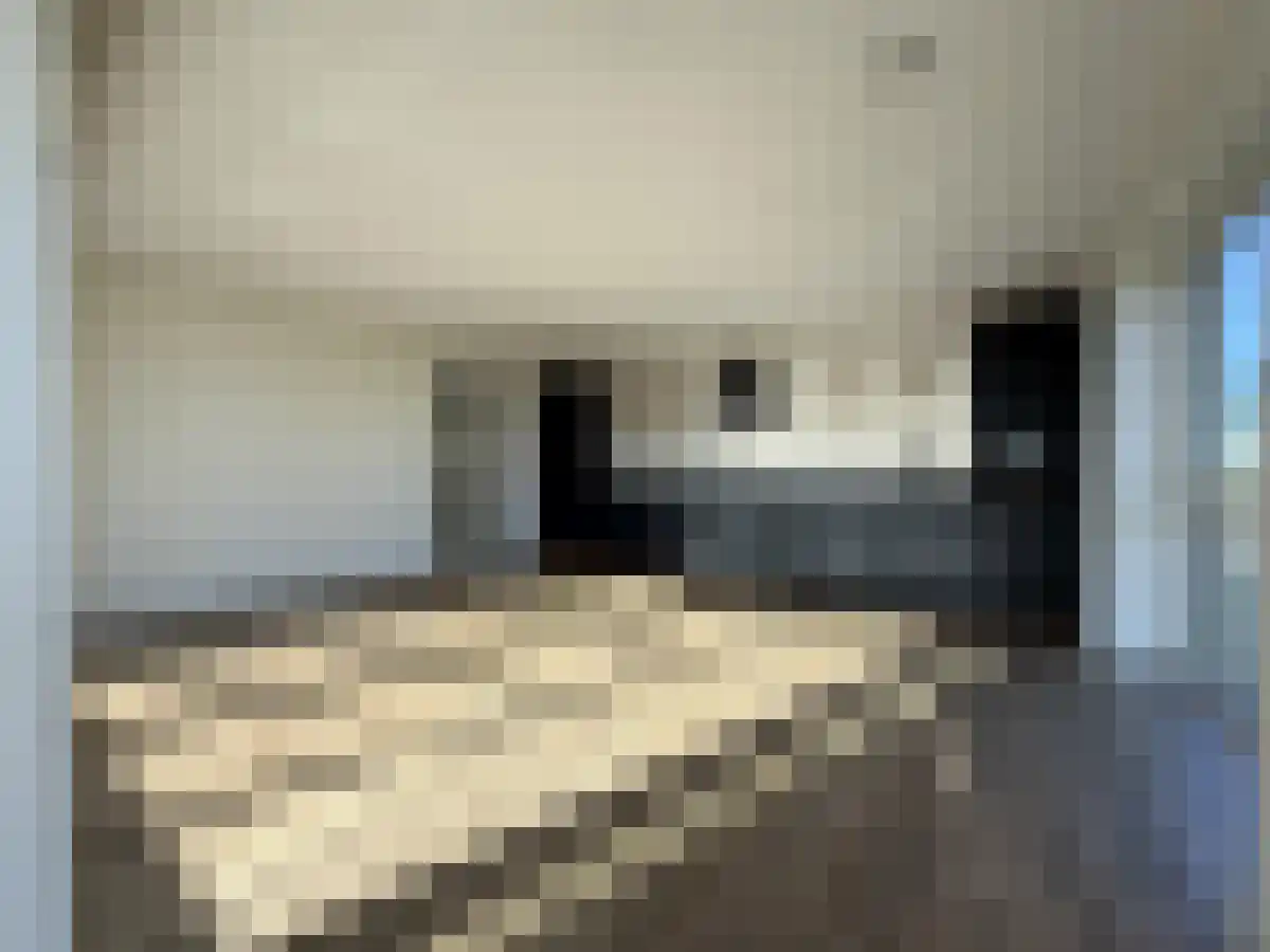 De Bosuil Amersfoort thumbnail 6