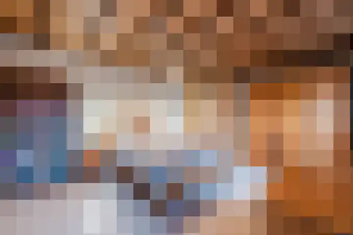 De Boterbloem 11 Budel thumbnail 16