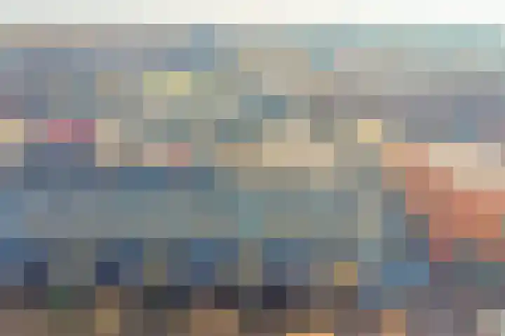 De Boterbloem 11 Budel thumbnail 17