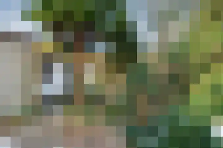 De Boterbloem 11 Budel thumbnail 22