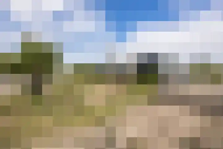 De Boterbloem 11 Budel thumbnail 23